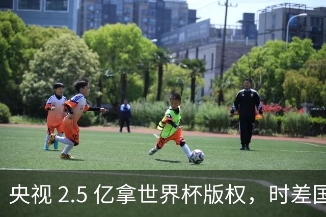 央视 2.5 亿拿世界杯版权，时差国足都拖后腿，这钱值吗？