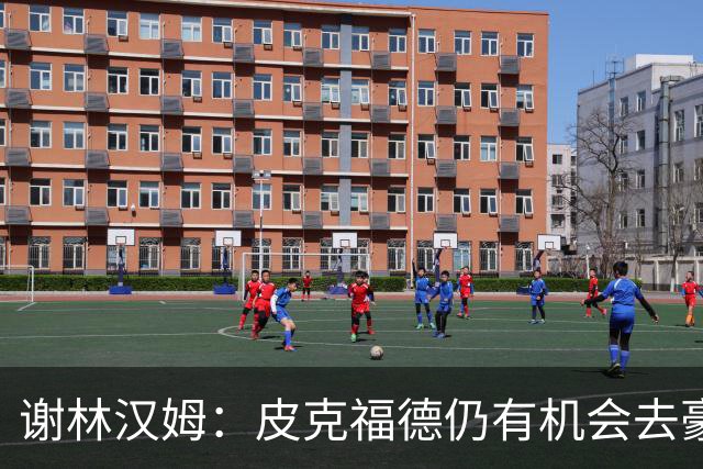 谢林汉姆：皮克福德仍有机会去豪门 他符合切尔西的引援标准